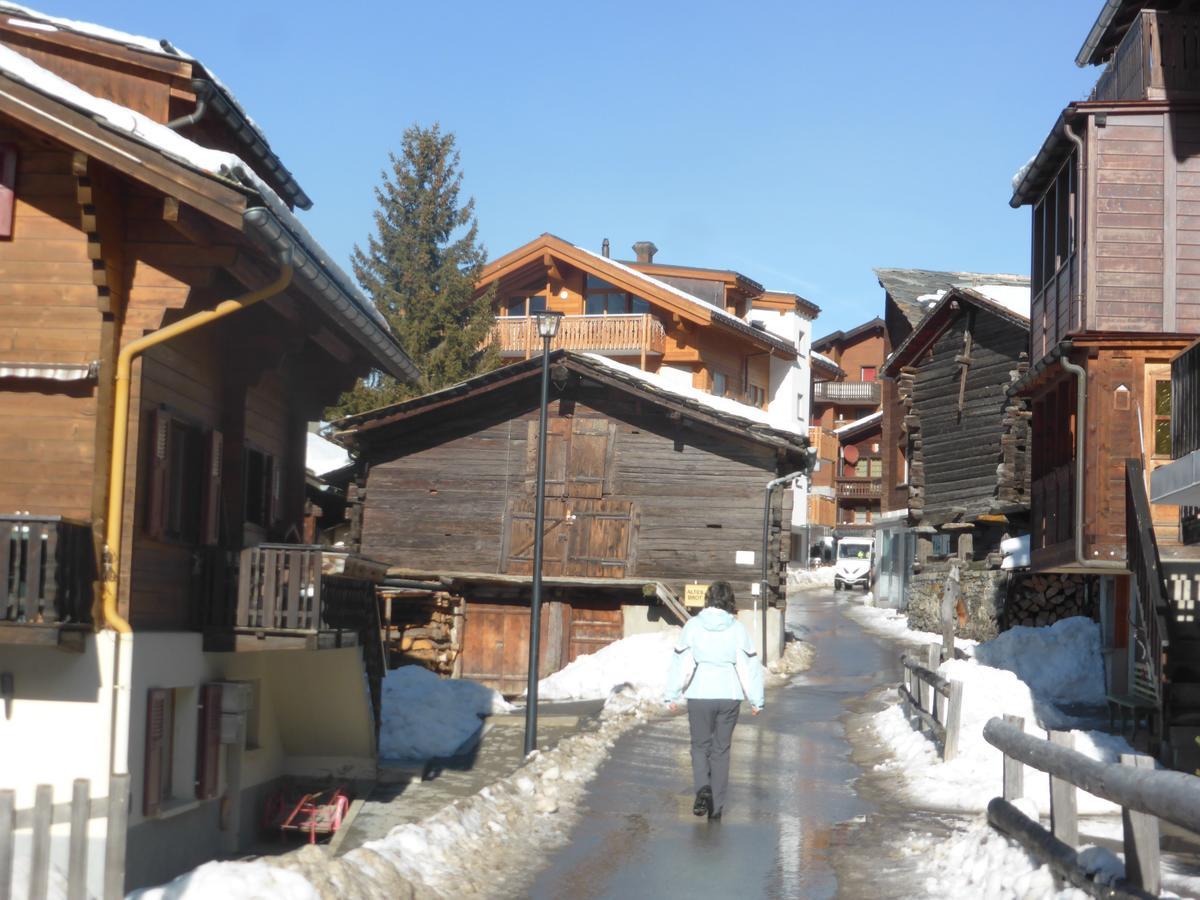 Haus Silberblick Anrig Daire Grächen Dış mekan fotoğraf