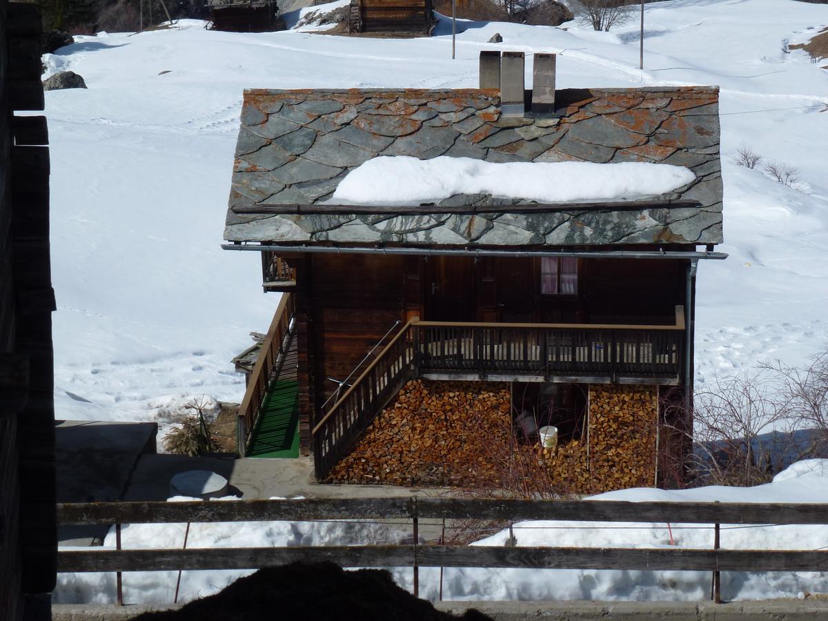 Haus Silberblick Anrig Daire Grächen Dış mekan fotoğraf